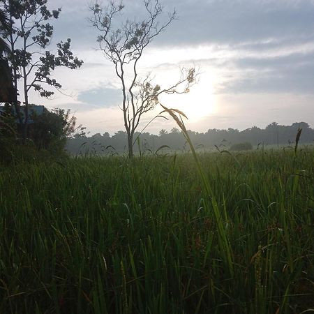 Sigiriya Paddy Field Hut Villa Room photo