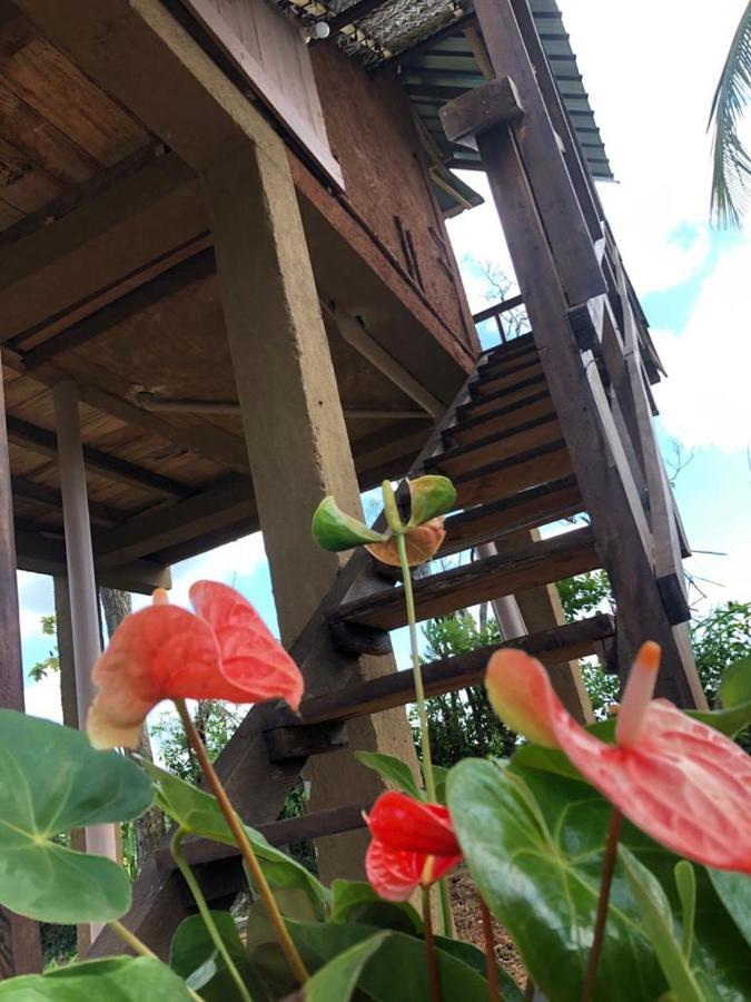 Sigiriya Paddy Field Hut Villa Exterior photo