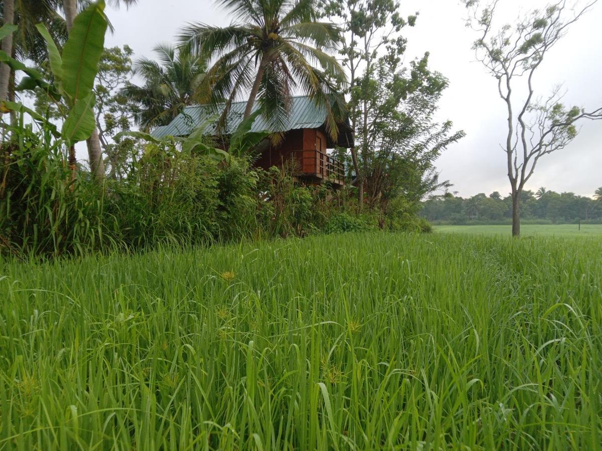 Sigiriya Paddy Field Hut Villa Exterior photo