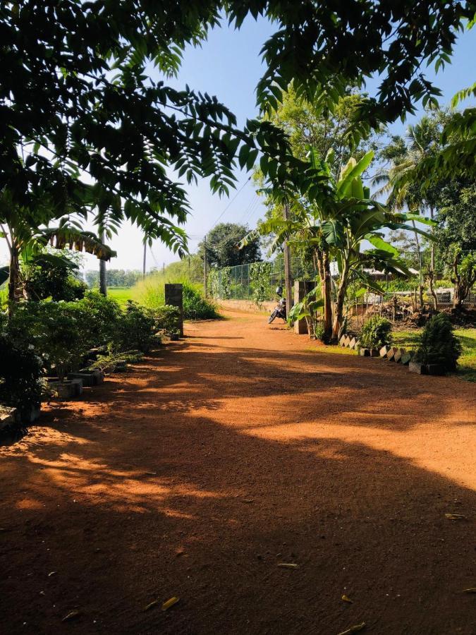 Sigiriya Paddy Field Hut Villa Exterior photo
