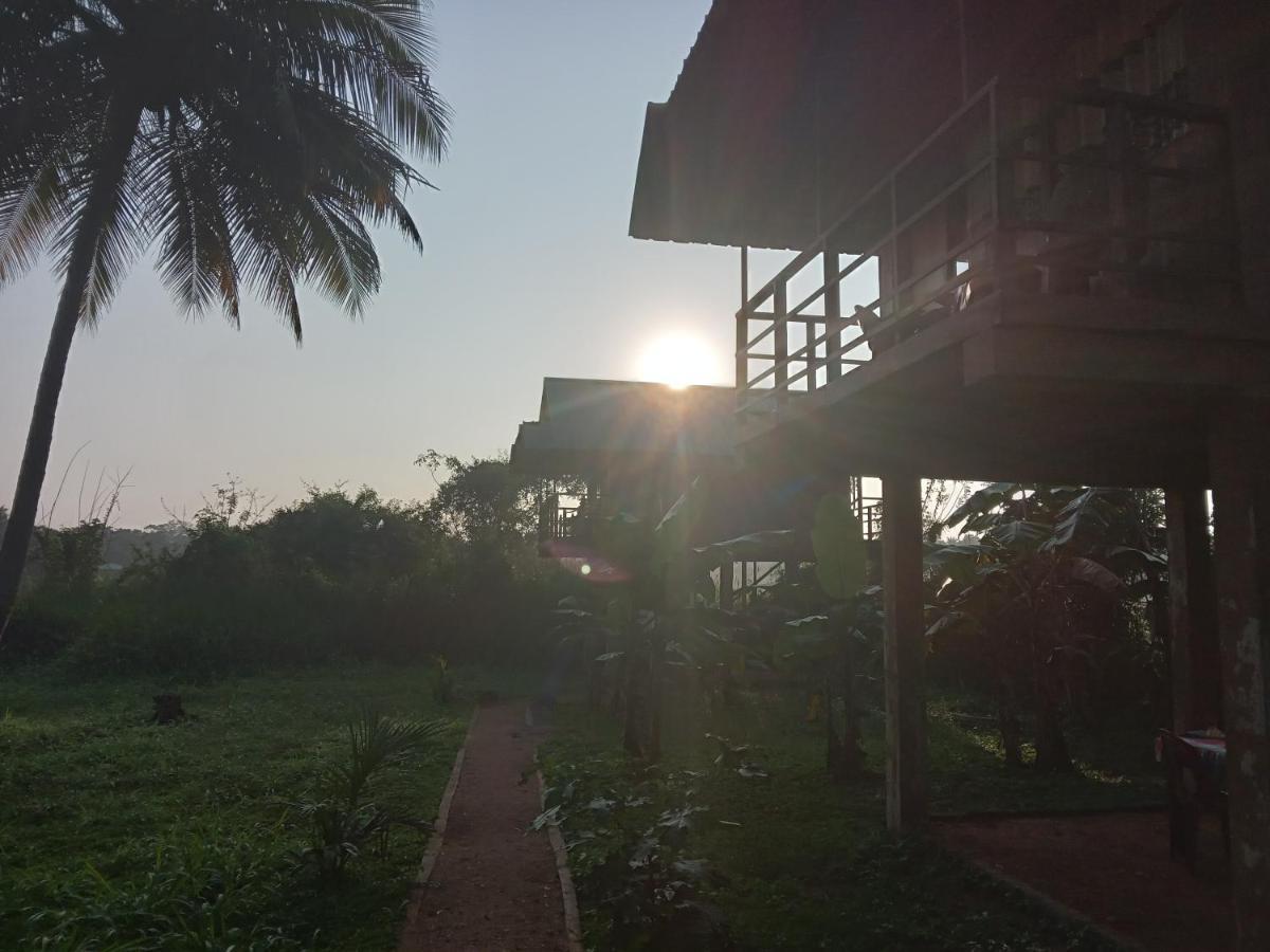 Sigiriya Paddy Field Hut Villa Exterior photo
